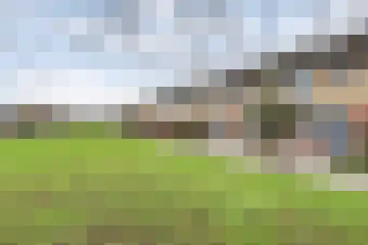 Binnensingel 57 Strijen