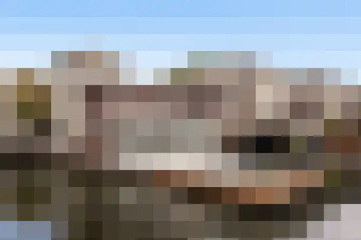 Binnensingel 57 Strijen thumbnail 20