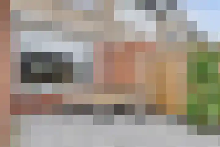 Binnensingel 57 Strijen thumbnail 33