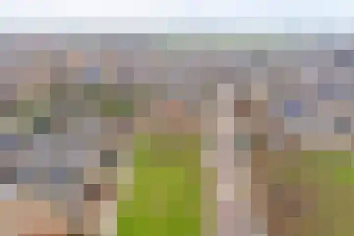 Binnensingel 57 Strijen thumbnail 40