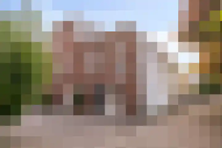 Binnensingel 57 Strijen thumbnail 42