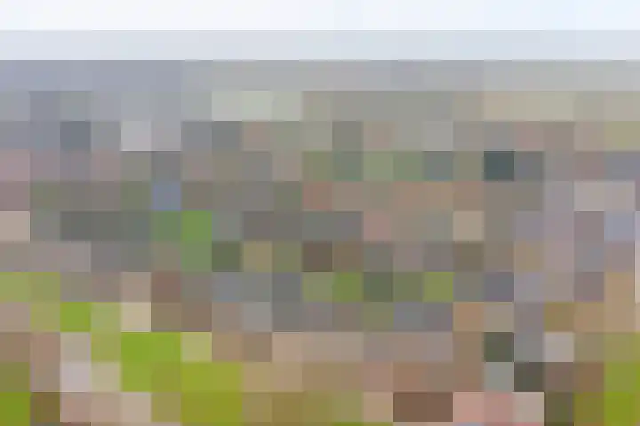 Binnensingel 57 Strijen thumbnail 43