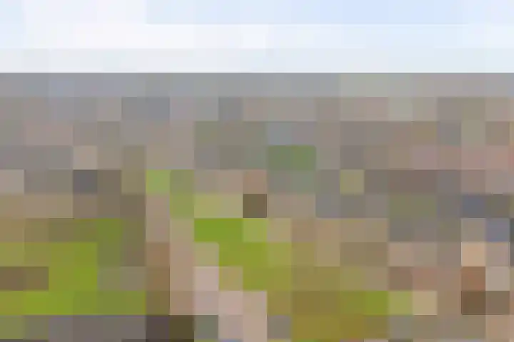 Binnensingel 57 Strijen thumbnail 6