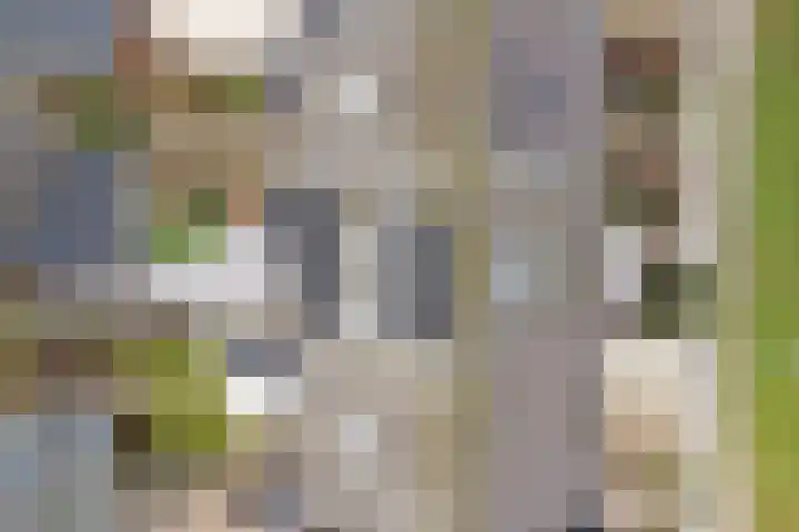 Binnensingel 57 Strijen thumbnail 7