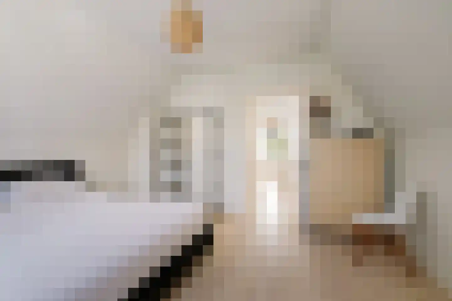 Binnensingel 58 Deventer thumbnail 32