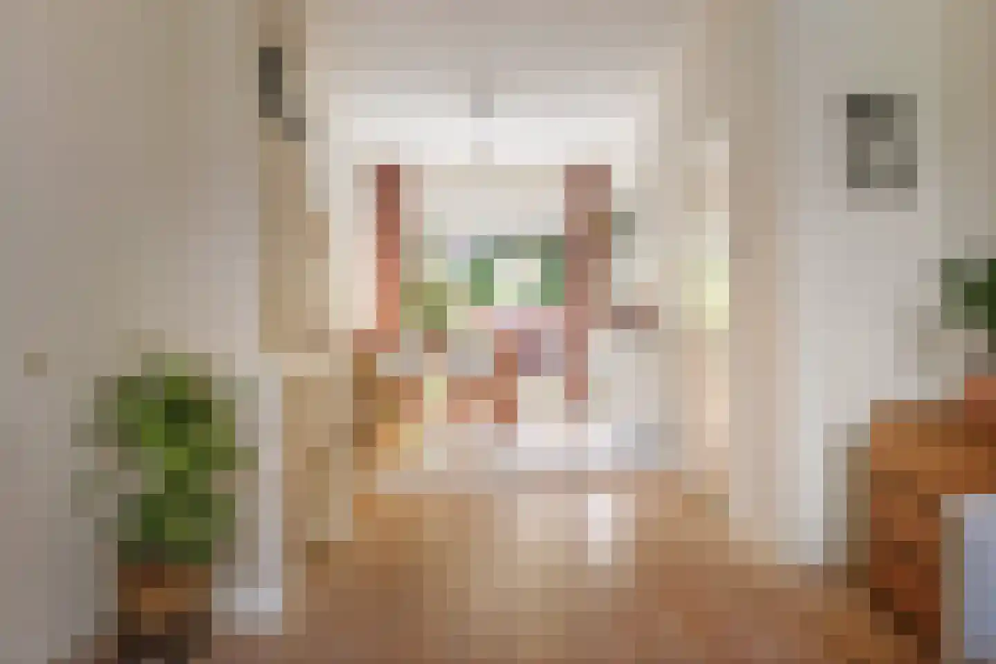 Binnensingel 58 Deventer thumbnail 9