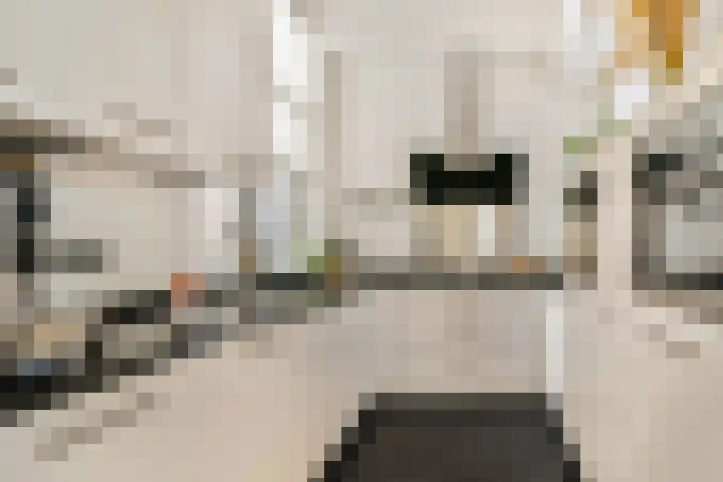 Binnensingel 63 Vlaardingen thumbnail 13