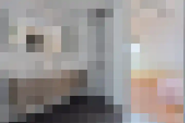 Binnensingel 73 in Strijen