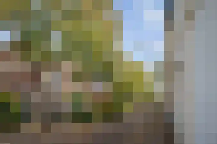 Binnensingel 76 Deventer thumbnail 4