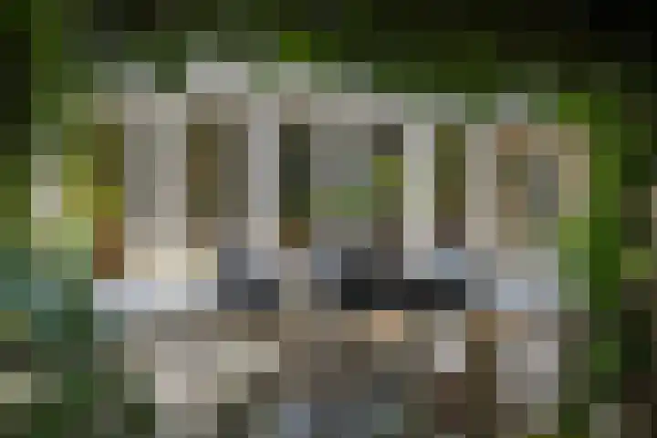 Binnensingel 76 Deventer thumbnail 42