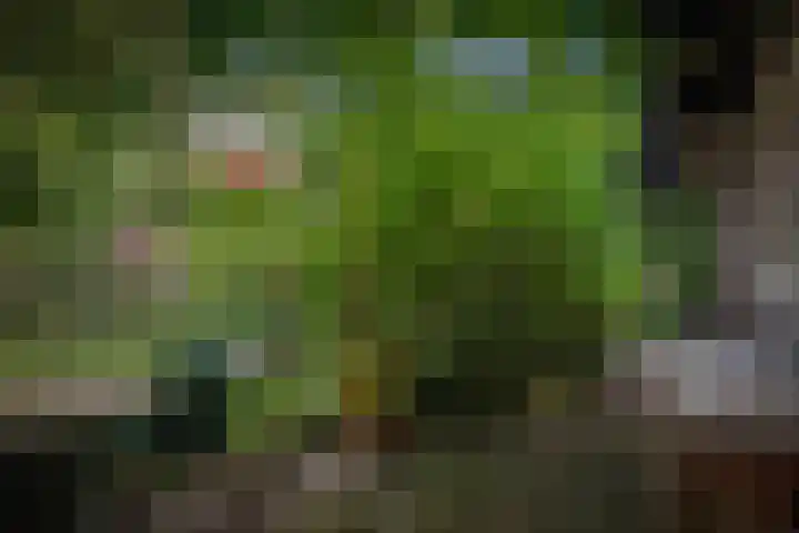 Binnensingel 76 Deventer thumbnail 49