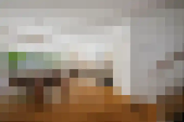 Binnensingel 76 Deventer thumbnail 5