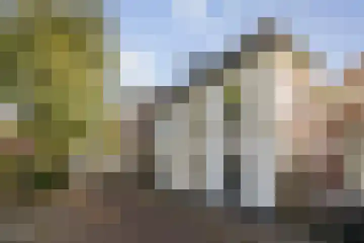 Binnensingel 76 Deventer thumbnail 58