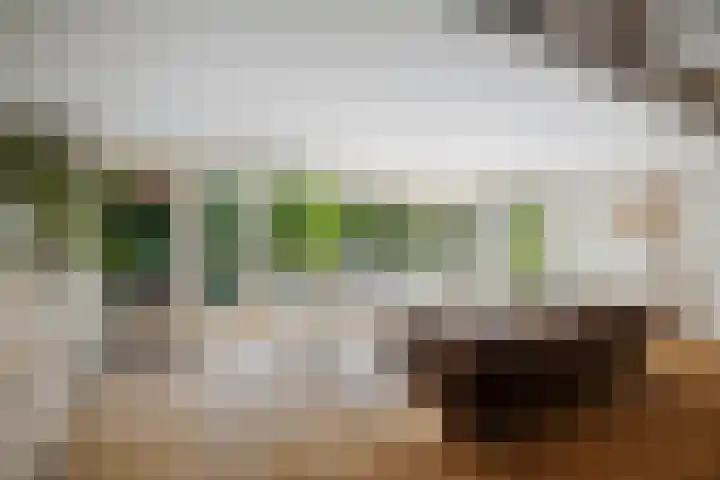 Binnensingel 76 Deventer thumbnail 6