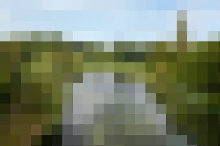 Binnensingel 76 Deventer thumbnail 63
