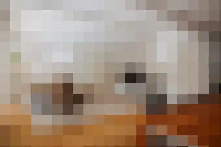 Binnensingel 76 Deventer thumbnail 9