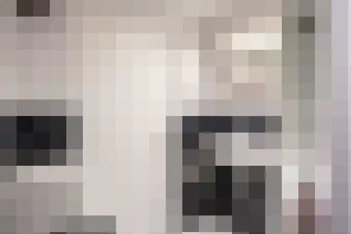 Binnensingel 8 Winsum thumbnail 31