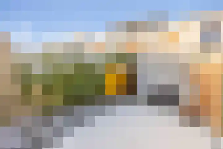 Binnensingel 8 Winsum thumbnail 40