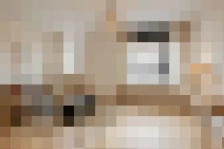 Binnenstraat 10 Goor thumbnail 12