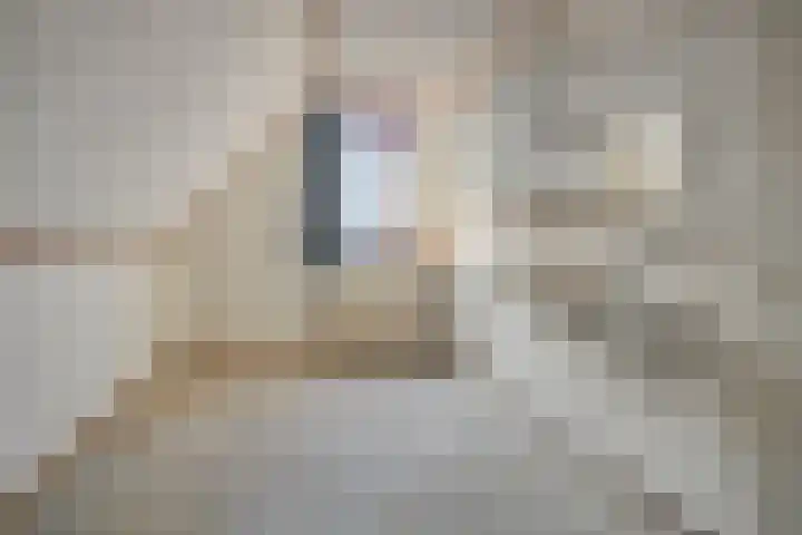 Binnenstraat 10 Goor thumbnail 27