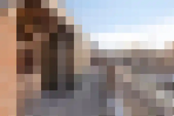 Binnenstraat 10 Goor thumbnail 5