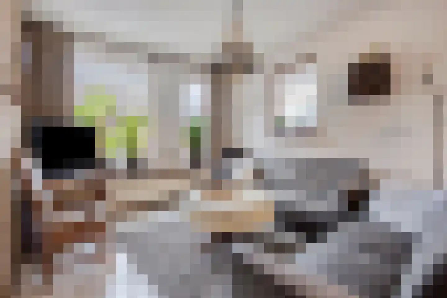Binnenstraat 29 Herpen thumbnail 5