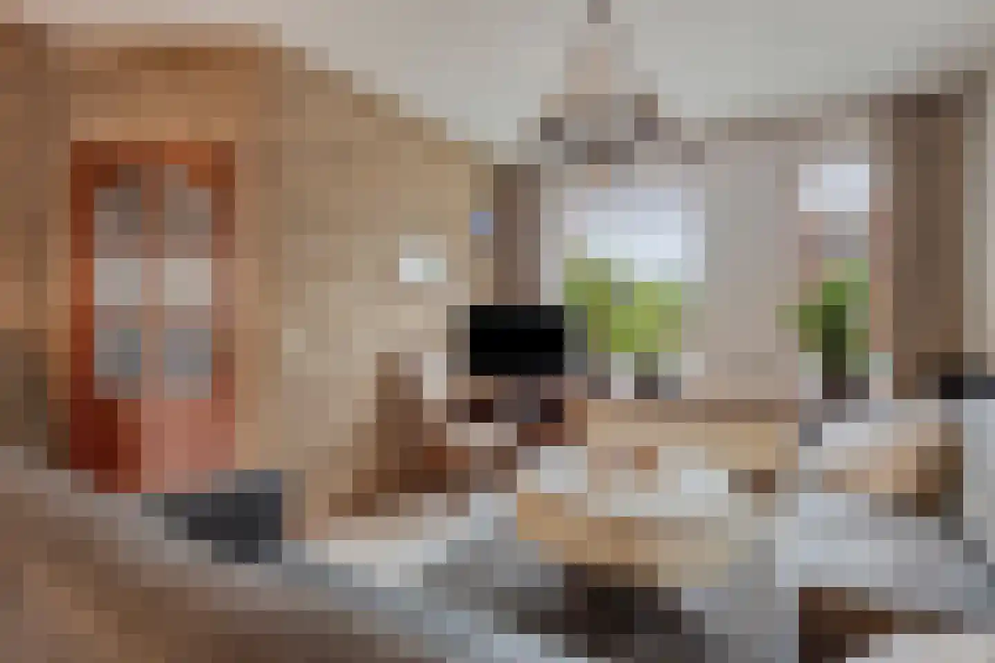 Binnenstraat 29 Herpen thumbnail 6