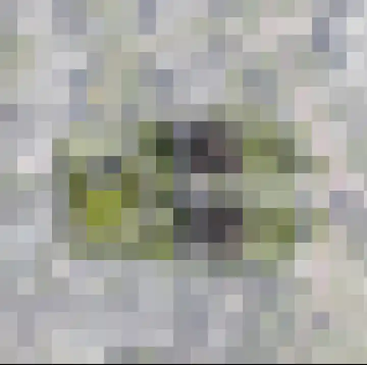 Binnentuin 1 Houten thumbnail 7
