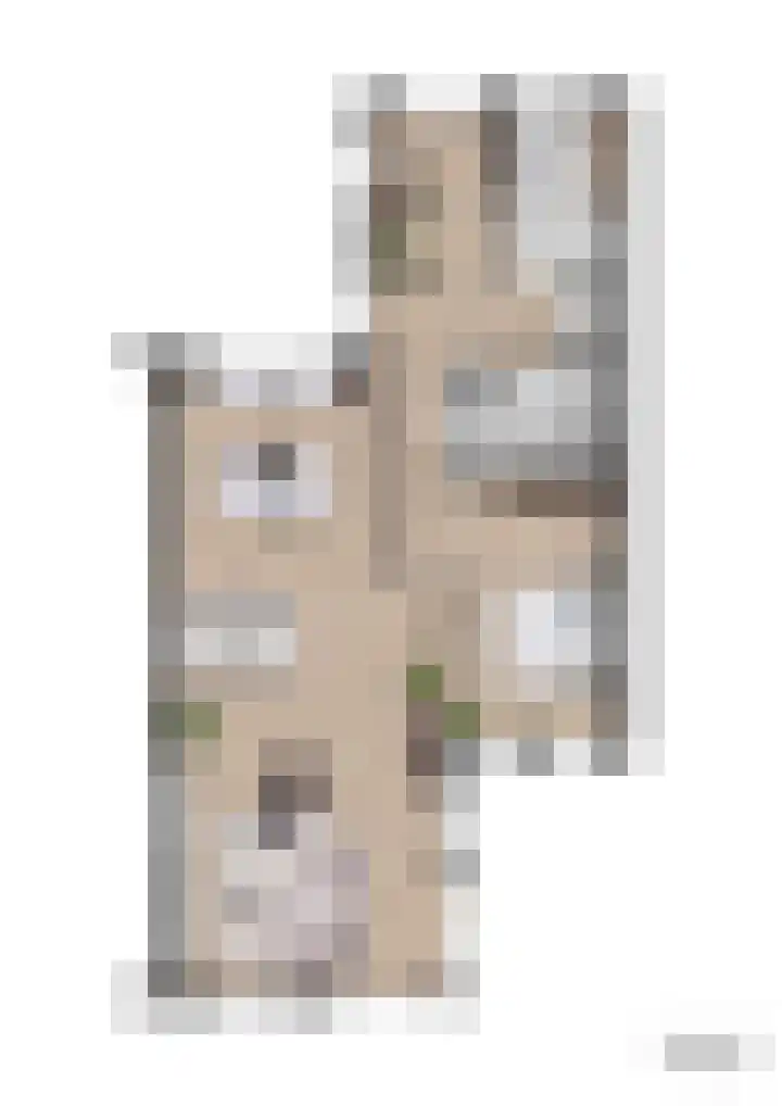 Binnentuin 5 Houten thumbnail 4