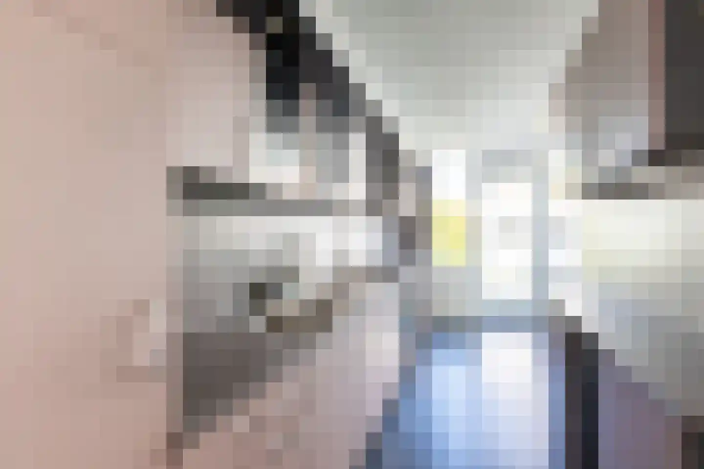 Binnentuinen 2 Den Haag thumbnail 12