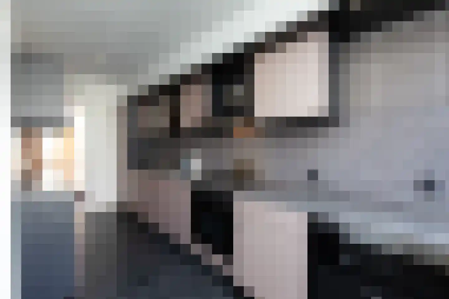 Binnentuinen 2 Den Haag thumbnail 14