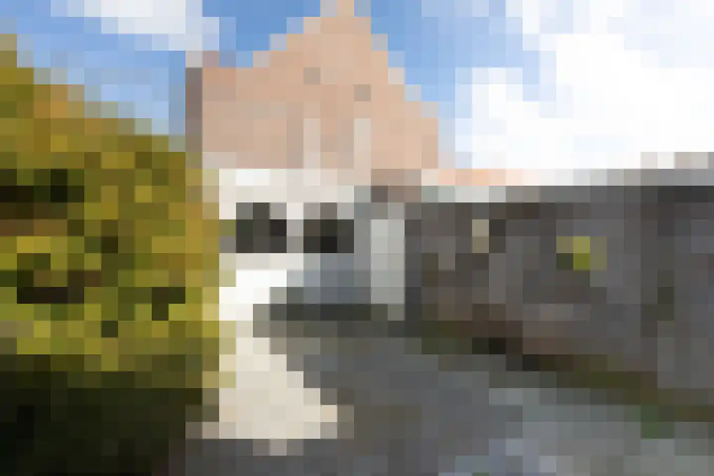 Binnentuinen 2 Den Haag thumbnail 16