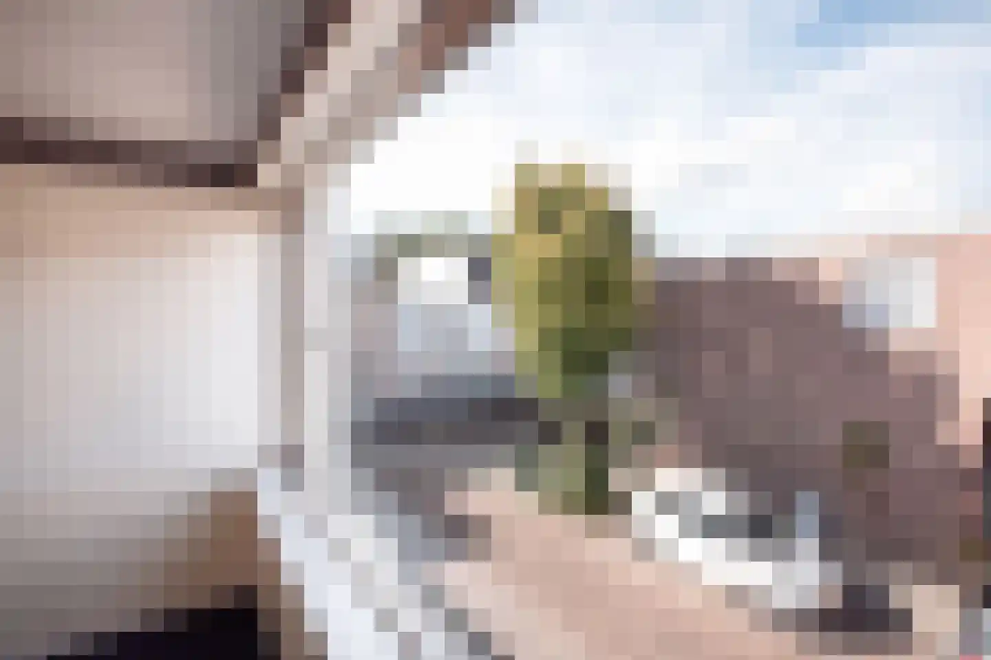 Binnentuinen 2 Den Haag thumbnail 27