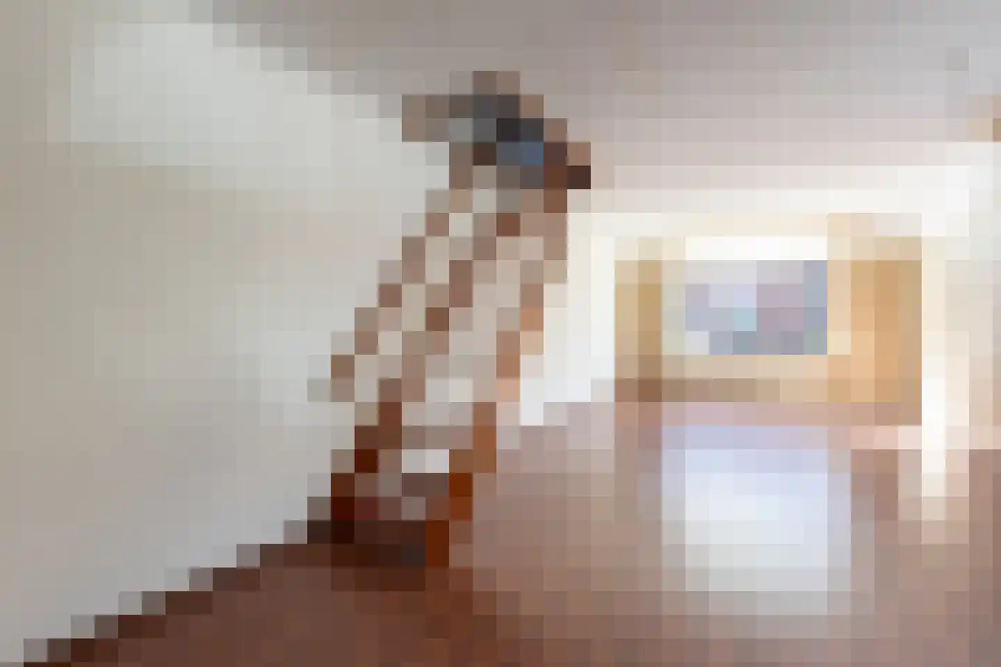 Binnentuinen 2 Den Haag thumbnail 4