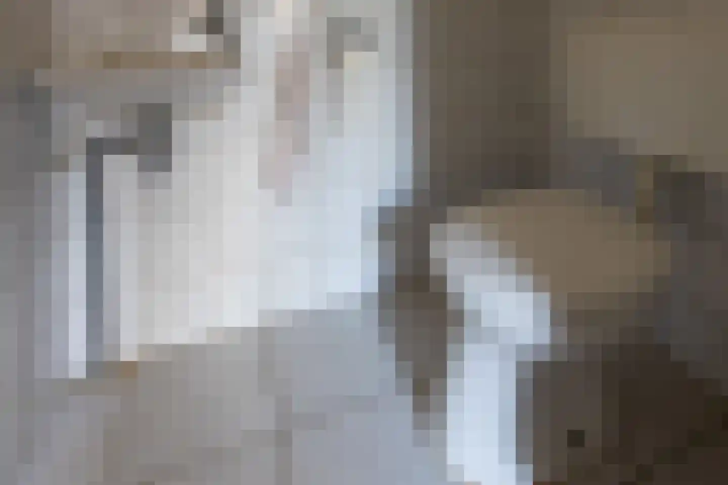 Binnentuinen 2 Den Haag thumbnail 9