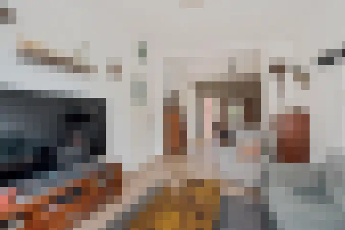 Binnentuinen 73 Den Haag thumbnail 10