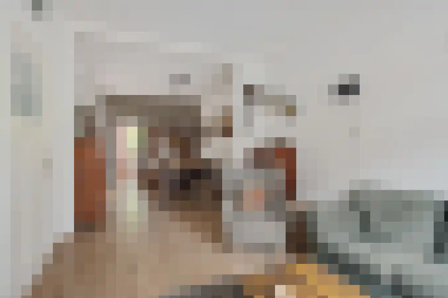 Binnentuinen 73 Den Haag thumbnail 11