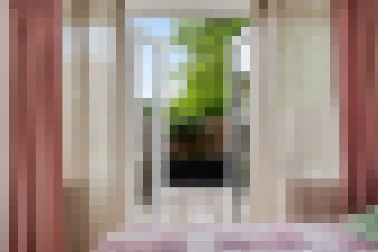 Binnentuinen 73 Den Haag thumbnail 22