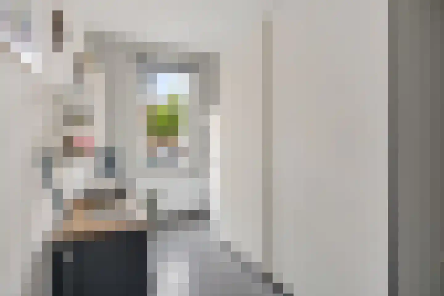 Binnentuinen 73 Den Haag thumbnail 23