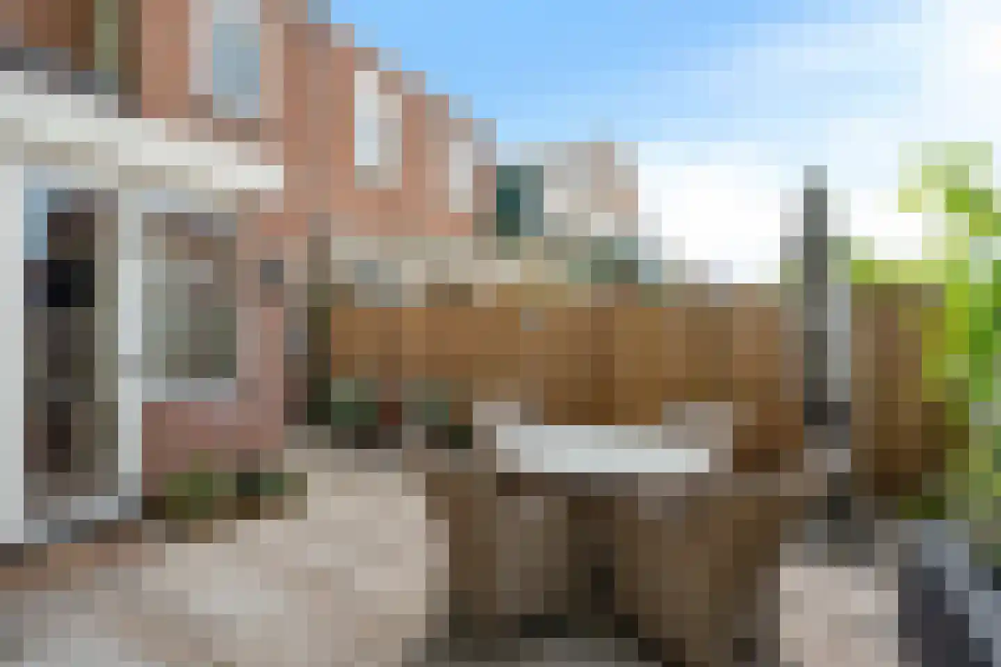 Binnentuinen 73 Den Haag thumbnail 32