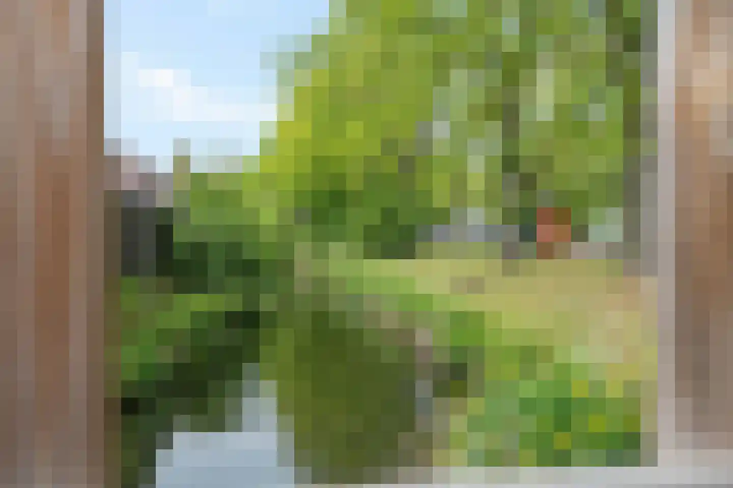 Binnentuinen 73 Den Haag thumbnail 36