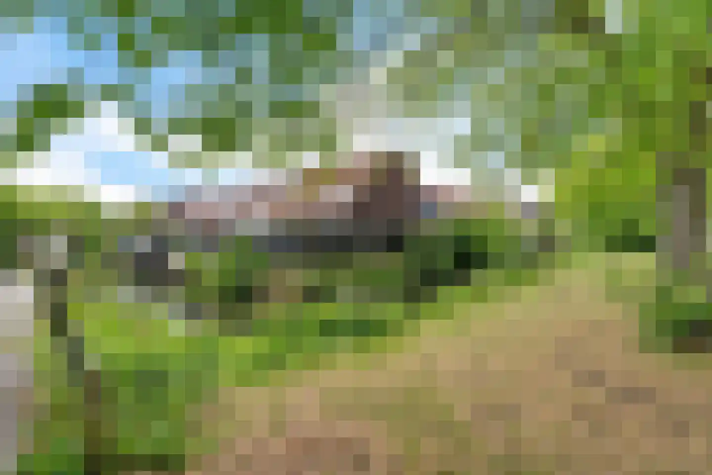 Binnentuinen 73 Den Haag thumbnail 38
