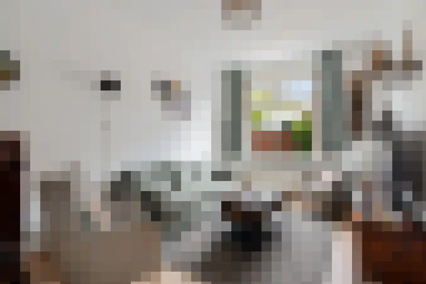 Binnentuinen 73 Den Haag thumbnail 8