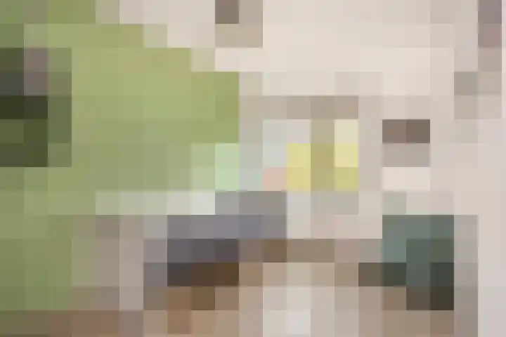 Binnentuinlaan 3 Vleuten thumbnail 13