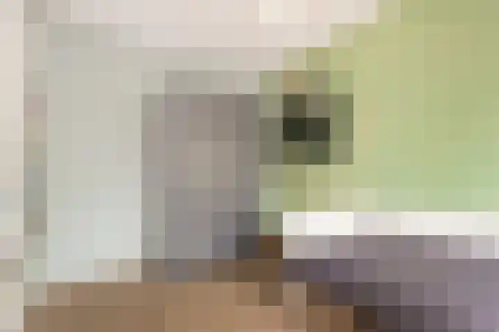 Binnentuinlaan 3 Vleuten thumbnail 14
