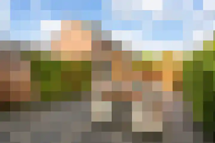 Binnentuinlaan 3 Vleuten thumbnail 20