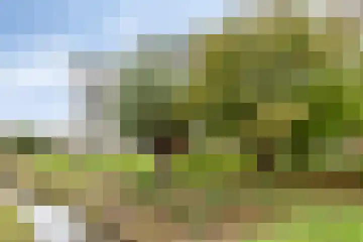Binnentuinlaan 3 Vleuten thumbnail 21