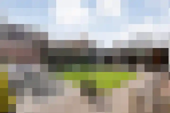 Binnentuinlaan 3 Vleuten thumbnail 23