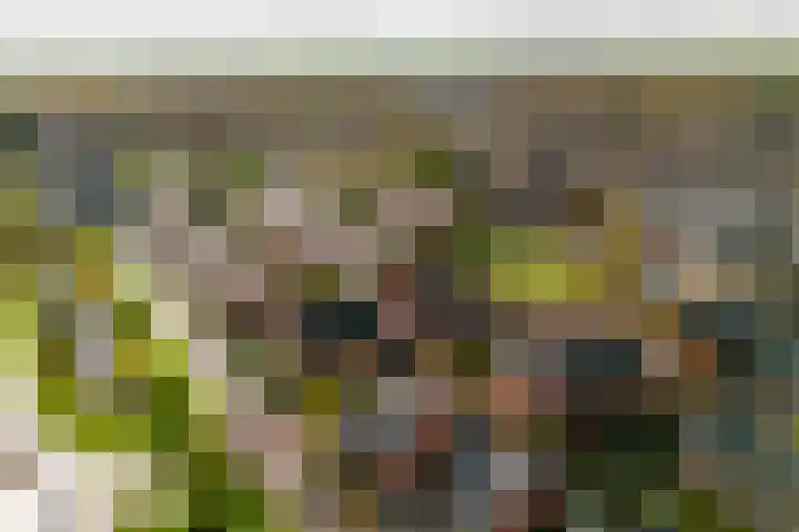 Binnentuinlaan 3 Vleuten thumbnail 25