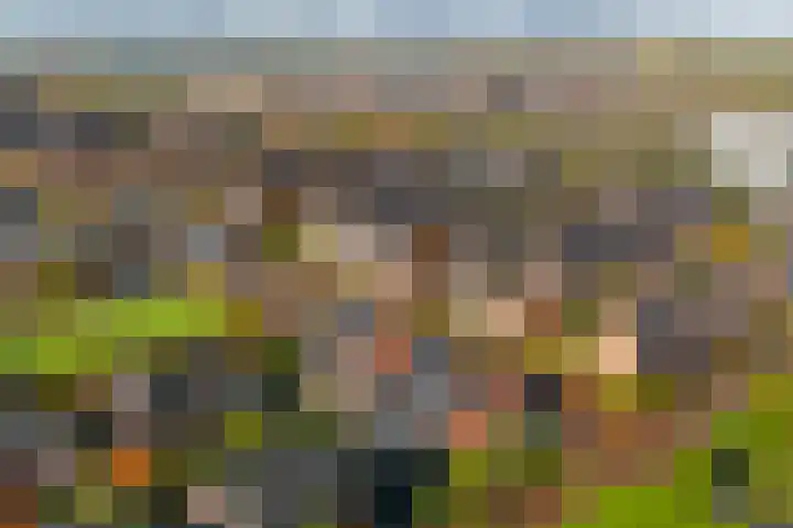 Binnentuinlaan 3 Vleuten thumbnail 26